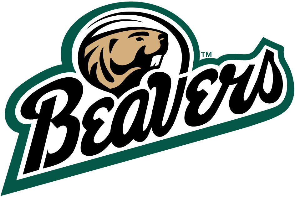 Bemidji State Beavers 2004-Pres Alternate Logo v2 iron on transfers for clothing